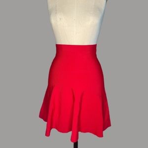 BCBG Skater Skirt